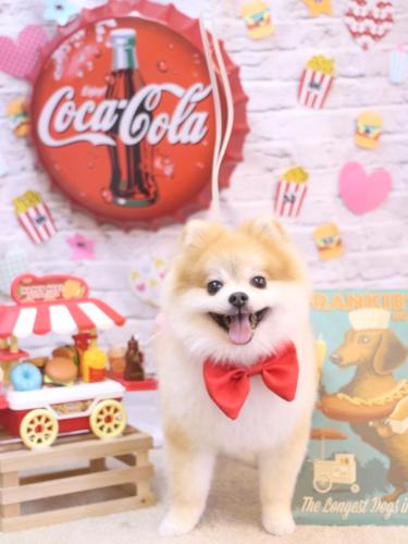 20230923モコくん